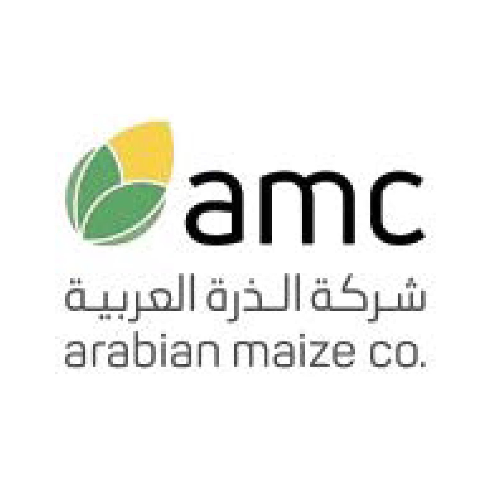 logo8.jpg